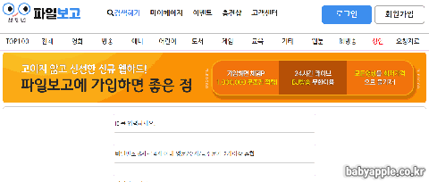 파일보고 홈페이지설명