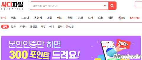 싸다파일 홈페이지설명